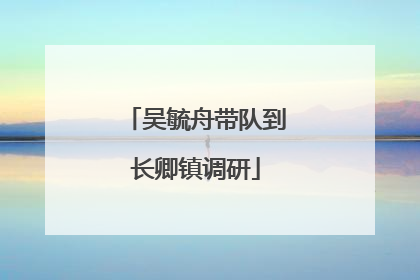 吴毓舟带队到长卿镇调研